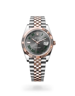 Rolex Datejust in Oystersteel and gold m126331-0016 at Reeds Jewelers