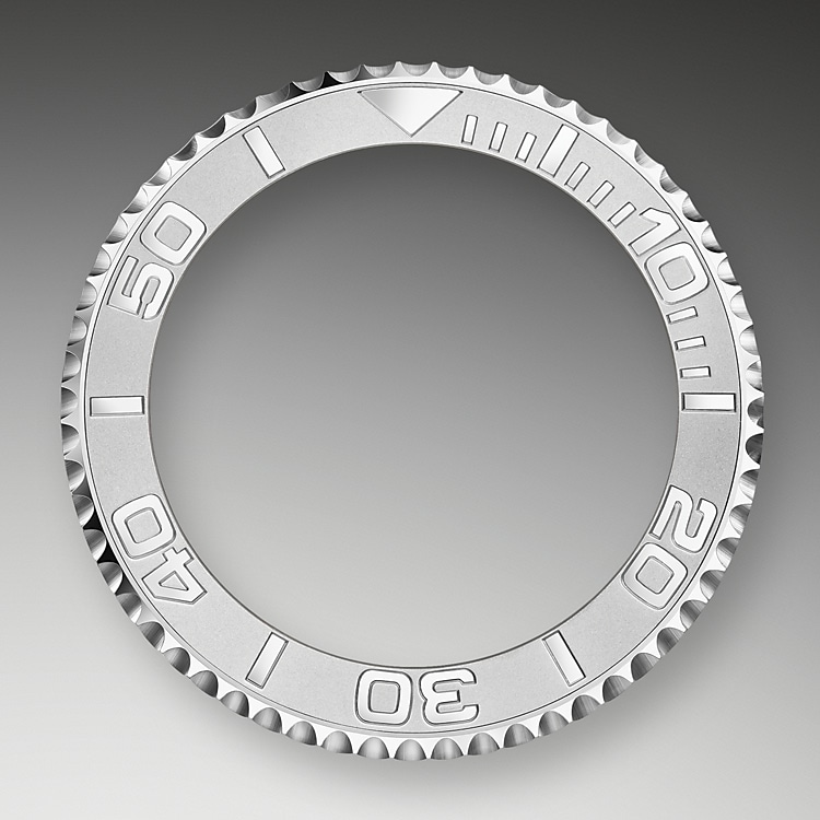 Bidirectional Rotatable Bezel