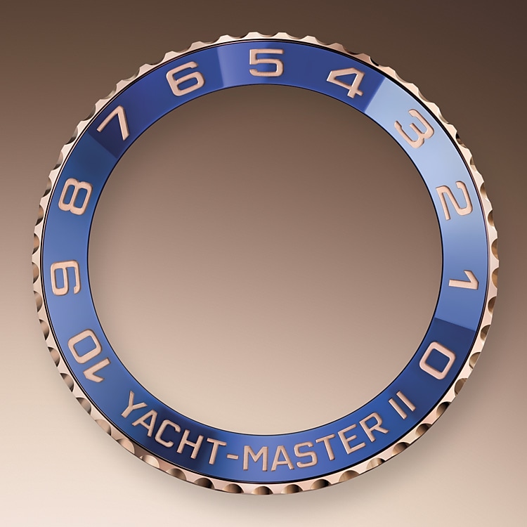 Ring Command Bezel